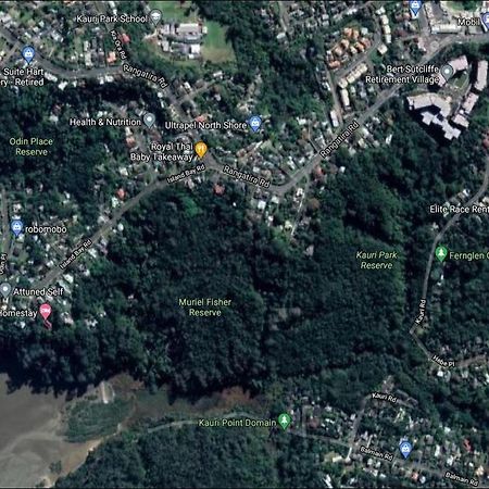 Fernglen B&B Auckland Eksteriør billede