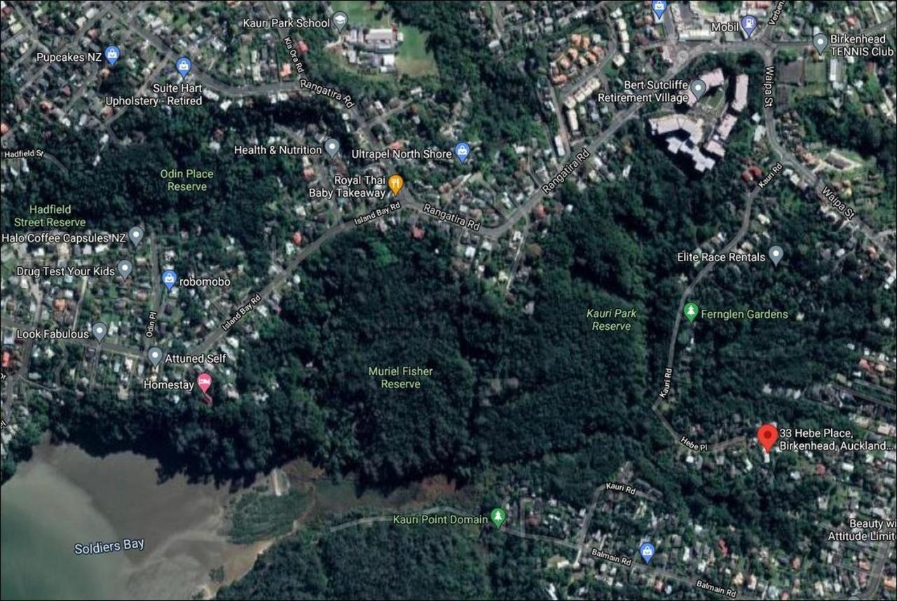 Fernglen B&B Auckland Eksteriør billede